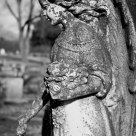 The Statue